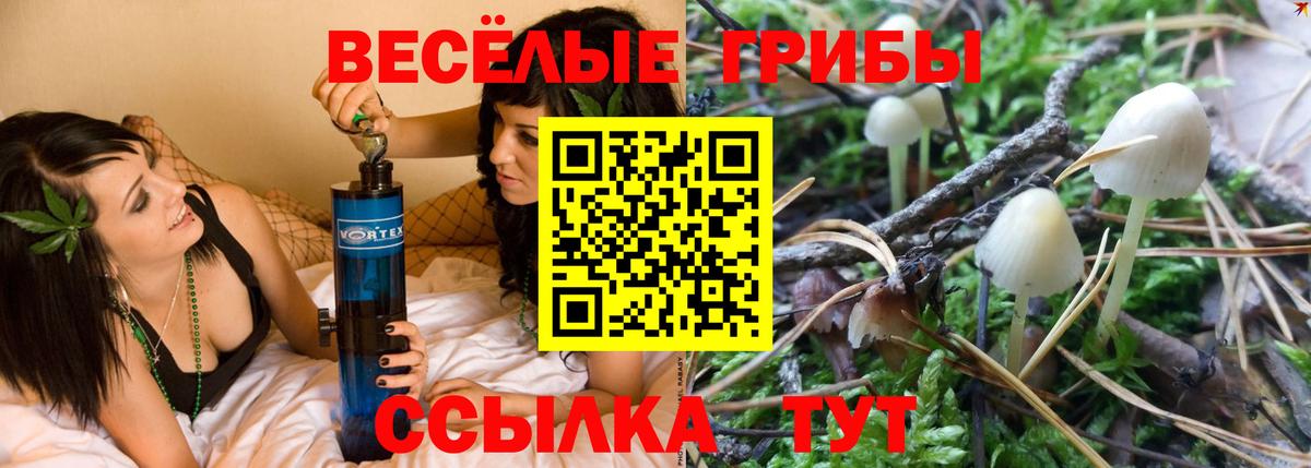 Псилоцибиновые грибы GOLDEN TEACHER Камышлов