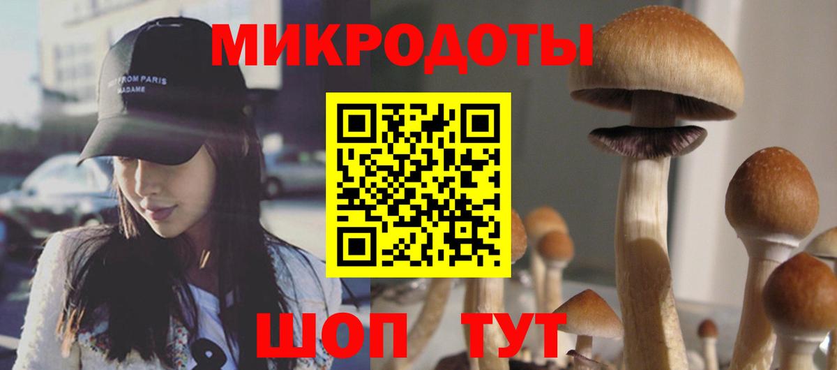 Галлюциногенные грибы Magic Shrooms  Вход с VPN  Камышлов  Псилоцибиновые грибы мухоморы 